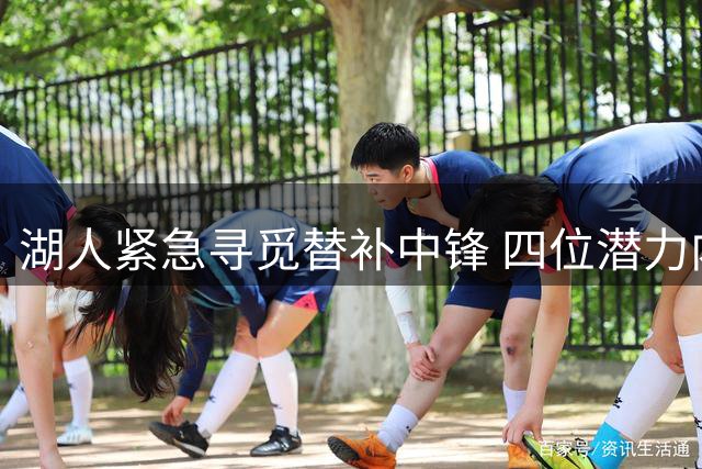 湖人紧急寻觅替补中锋 四位潜力内线进入补强视野